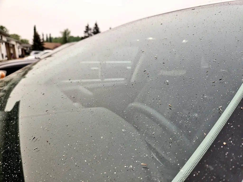 UPDATE: Alberta's wildfire situation, as of 4 p.m., May 20