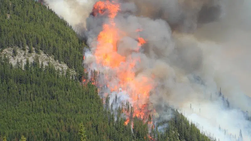 Alberta declares early start to 2024 wildfire season, invests in 100 new firefighters for quick response