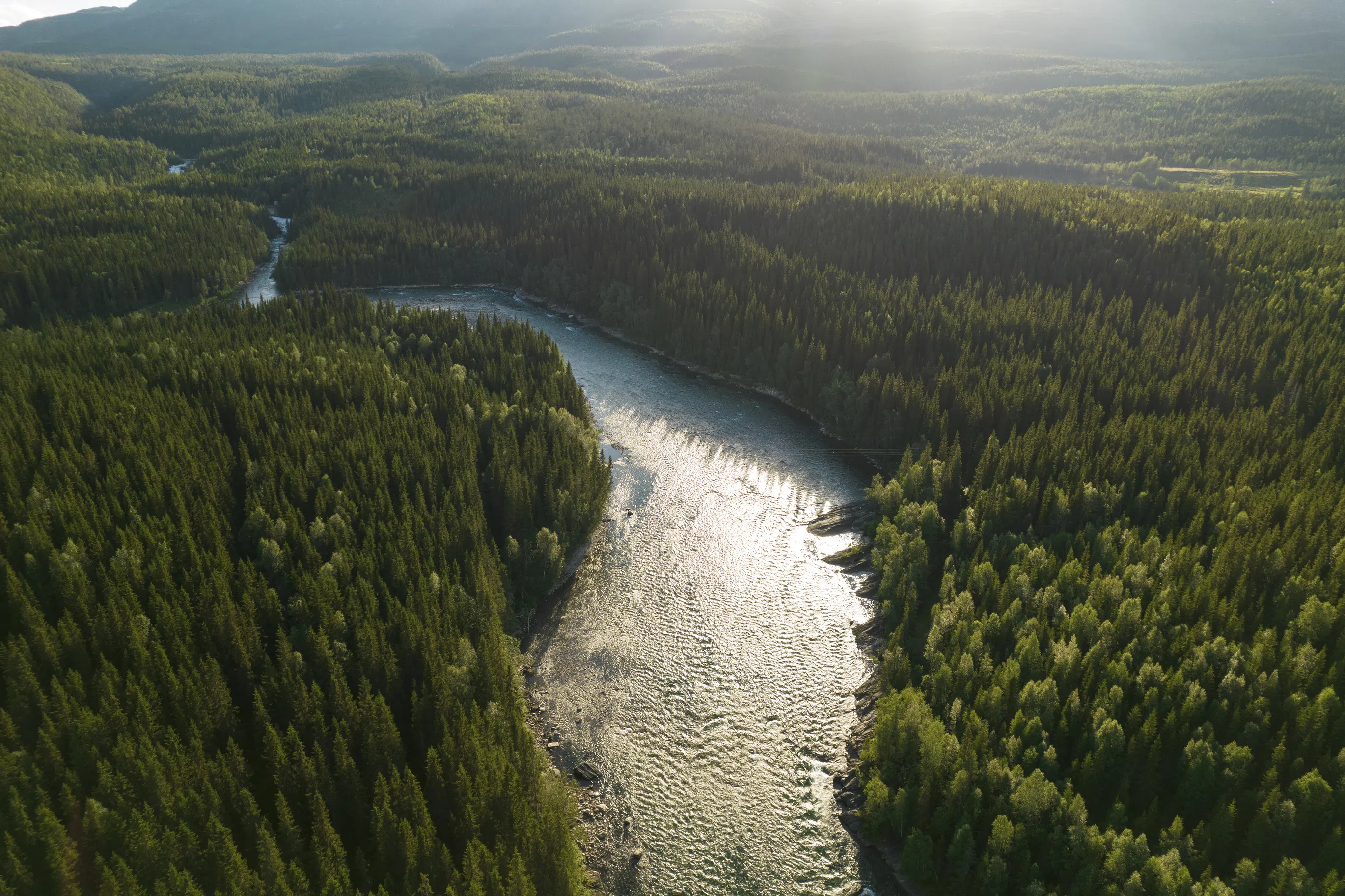 New Drought and Flood Protection Program announced by Alberta's government