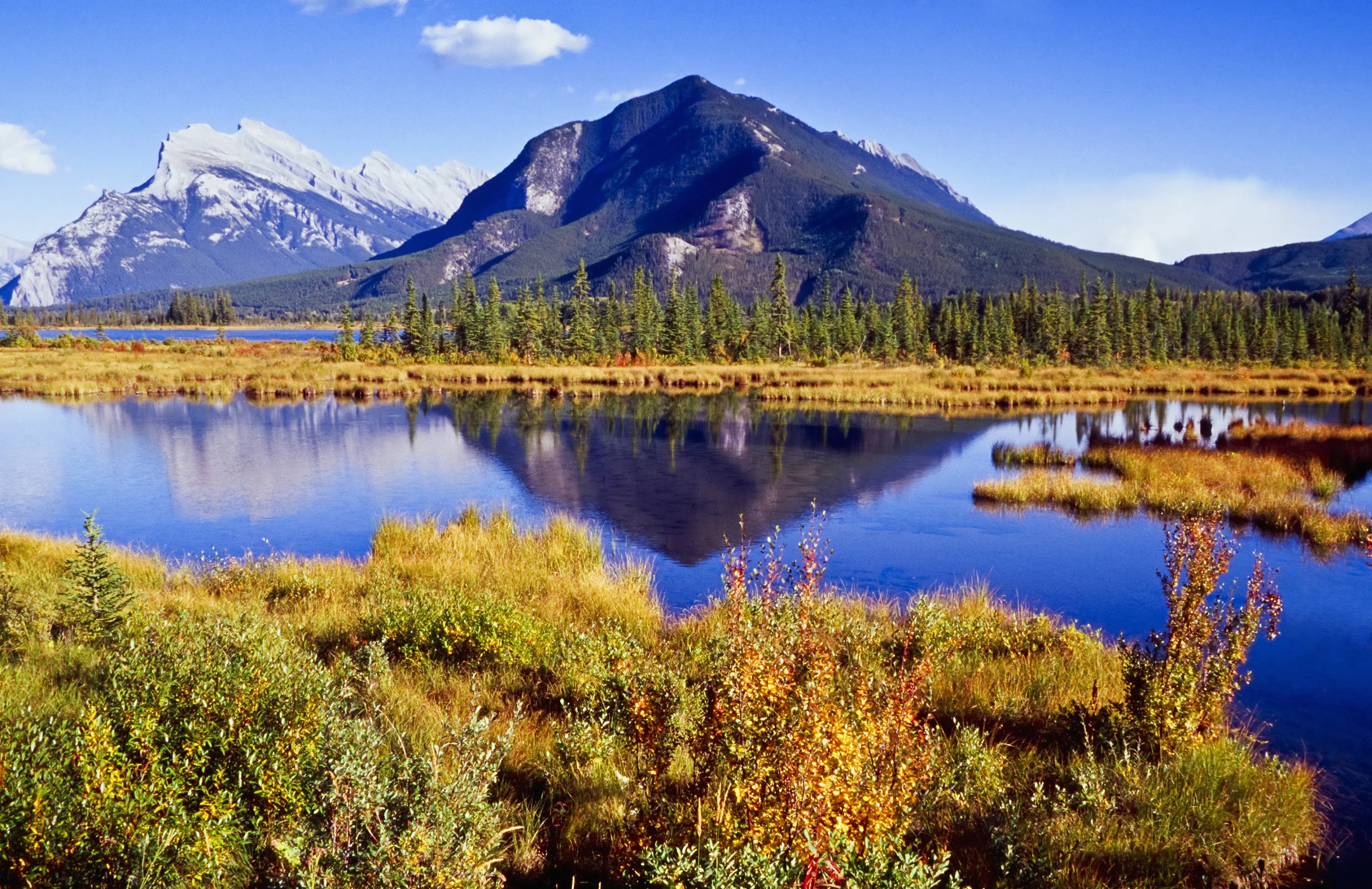 Alberta government announces funding for Wetland Replacement Program and Watershed Resiliency and Restoration Program