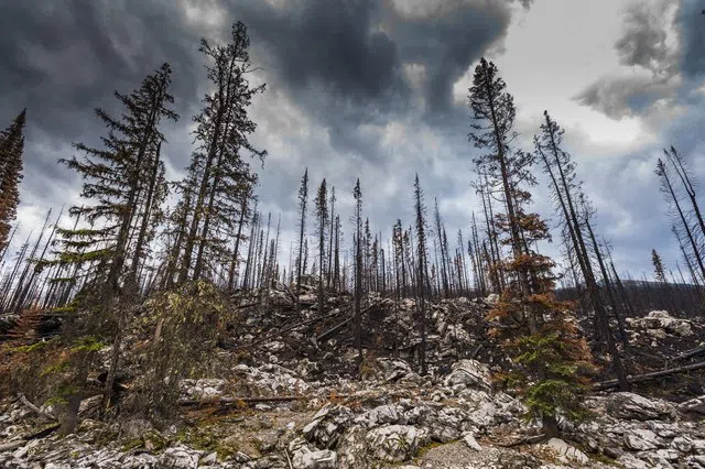 Jasper resident shares evacuation experience