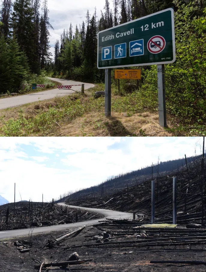 Jasper Complex Wildfire update: August 9