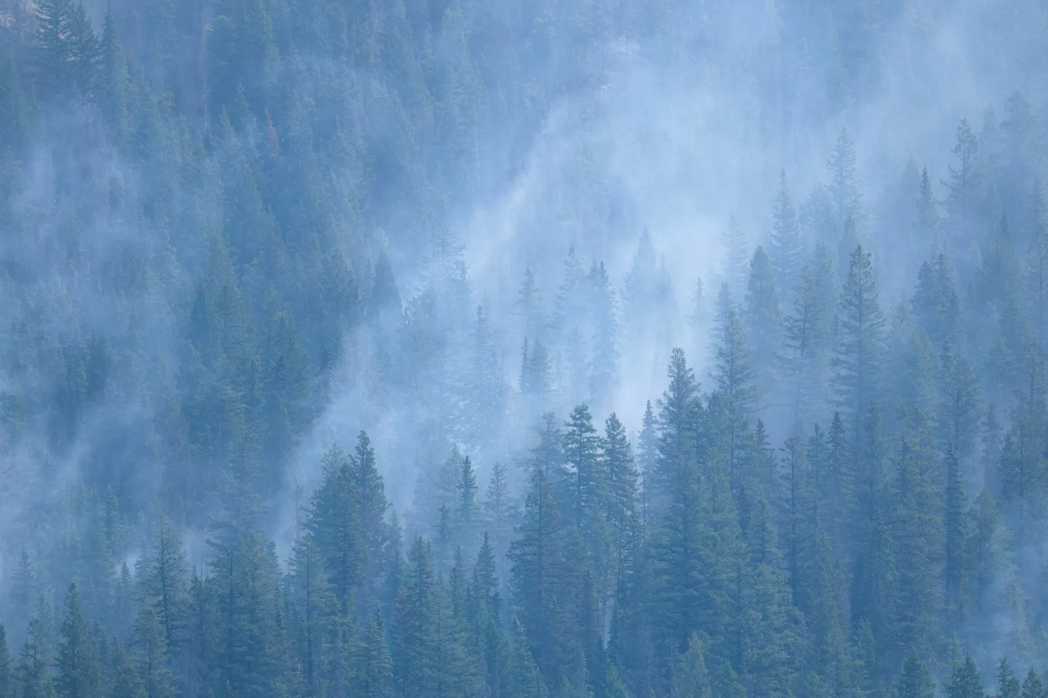 Jasper Complex Wildfire Update: August 7