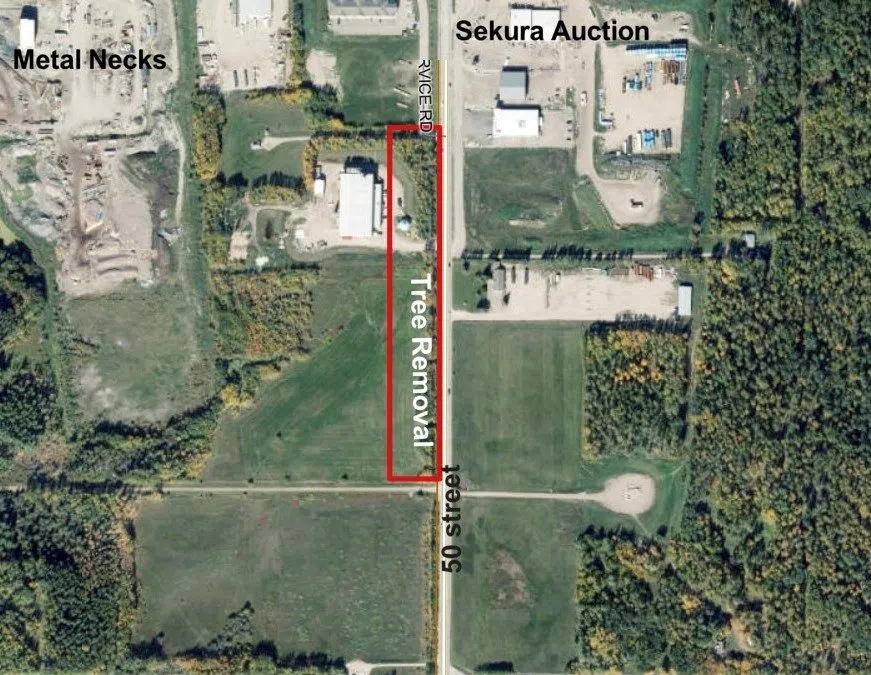 Tree removal set to begin in Drayton Valley Big West Country 92.9 FM