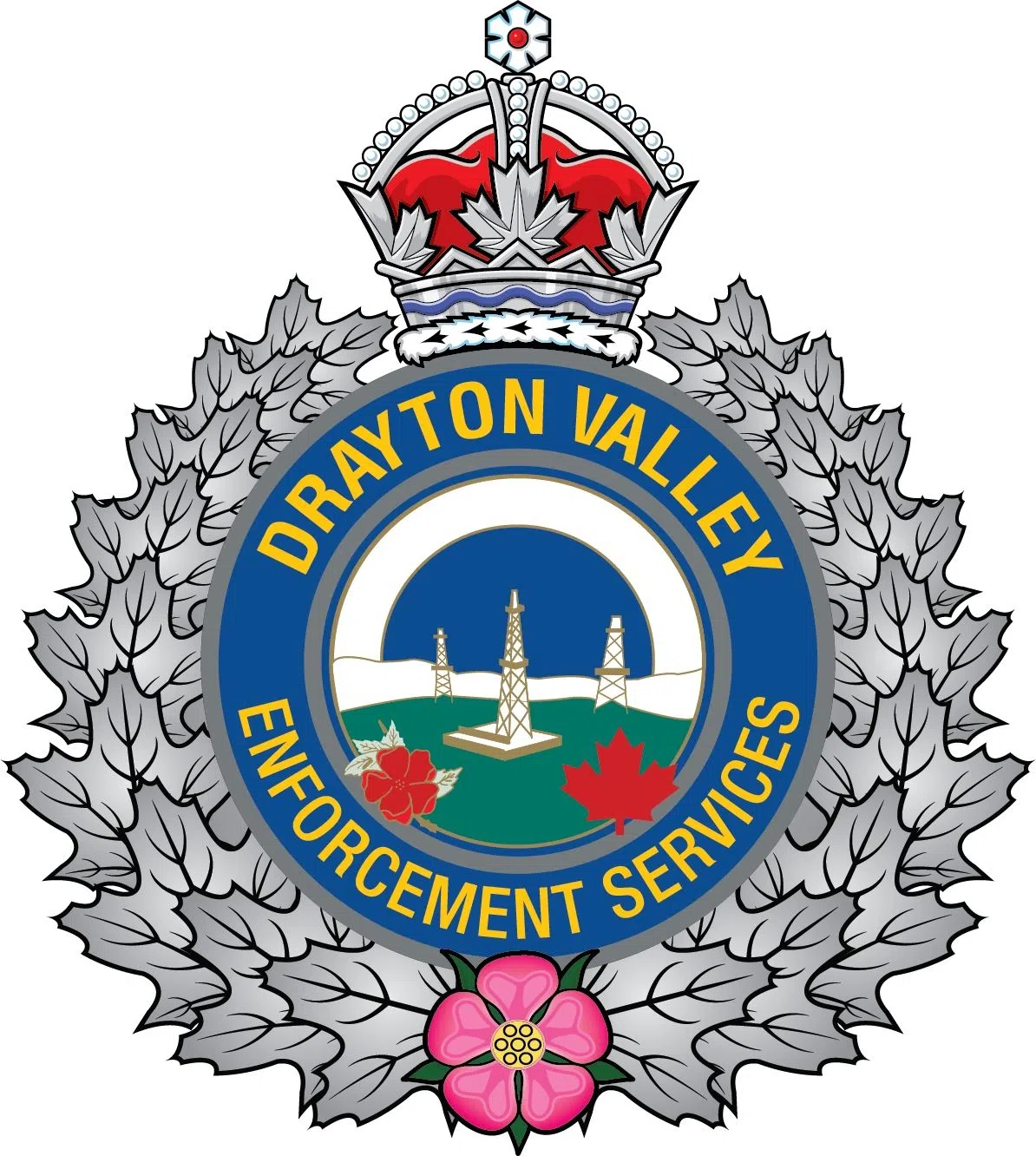 Drayton Valley driver fined over $700 for passing stopped school bus