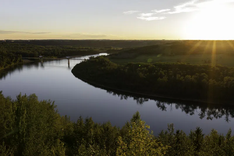 Federal government announces funding for nature conservation projects