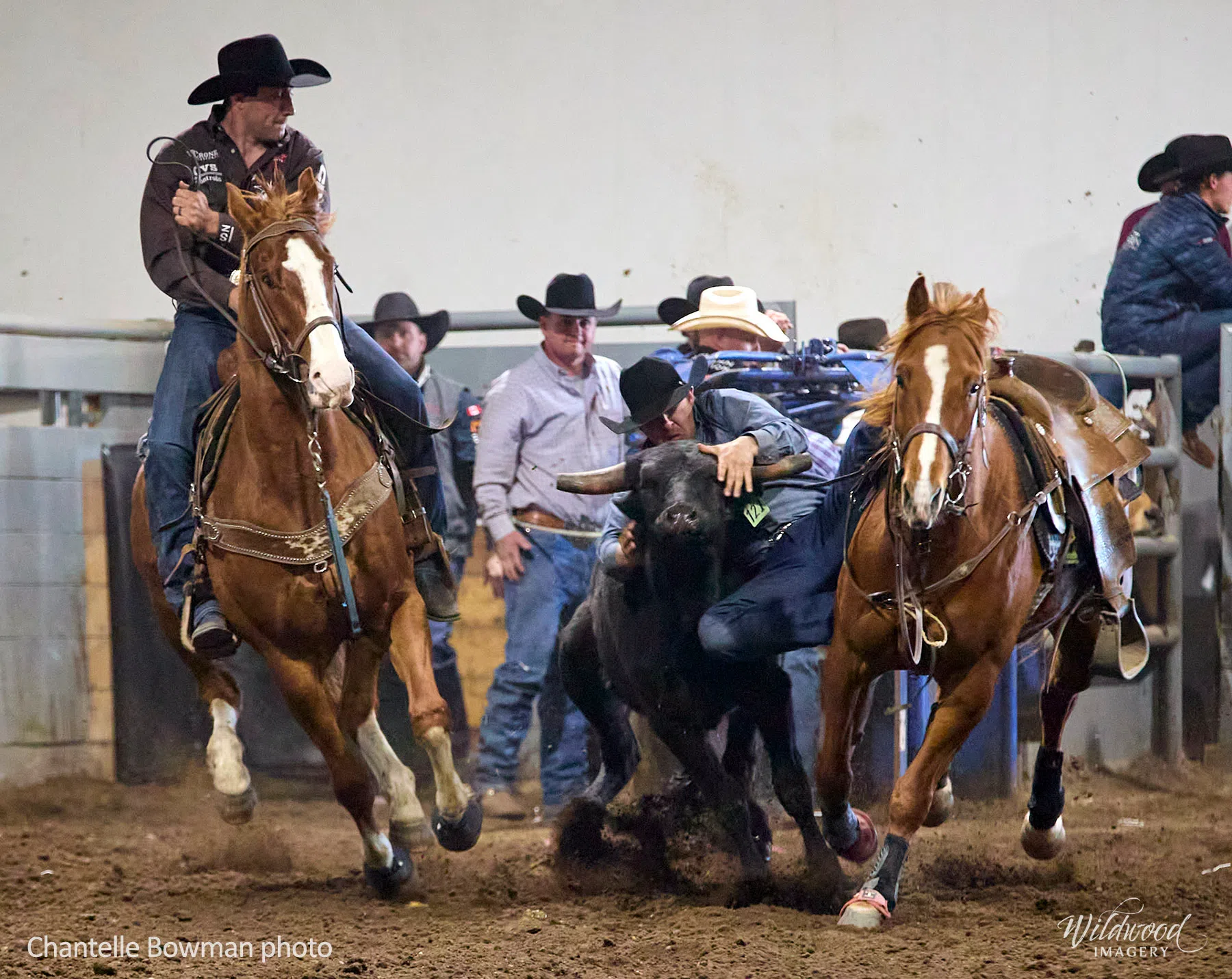 Local steer wrestler claims first professional win
