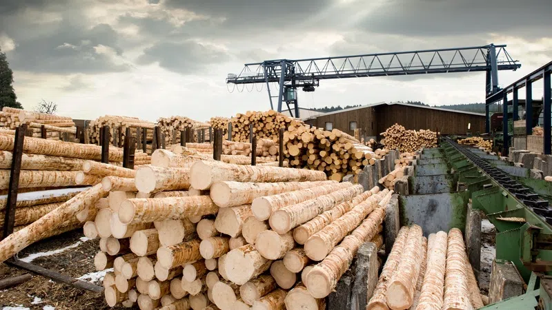Drayton Valley adopts 'Wood First' policy to boost local industry and sustainable building