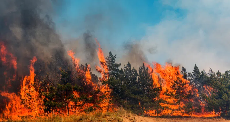 Wildfire smoke impacting air quality in Drayton Valley region