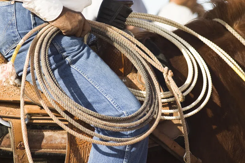 Buck Lake Stampede promises family fun and plenty of chuckwagon races
