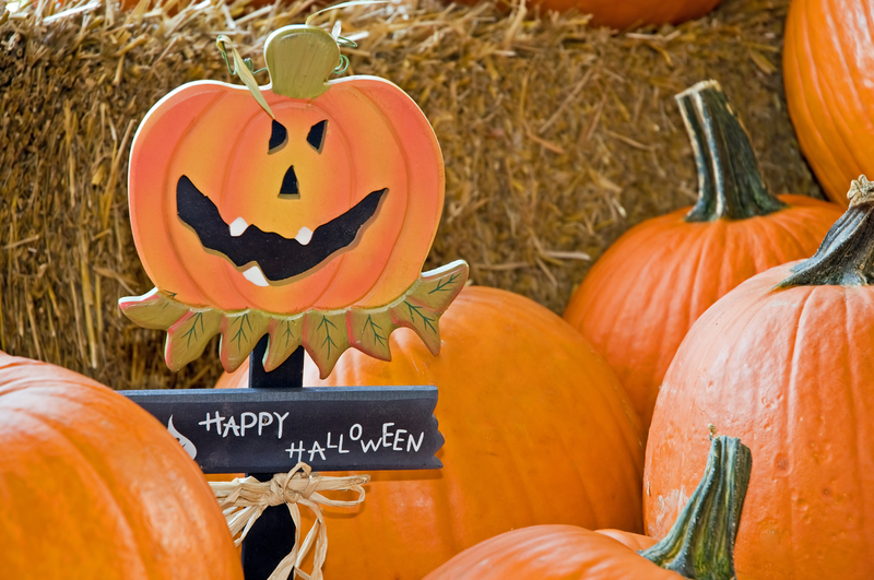 Brazeau County council approves grant for October family event