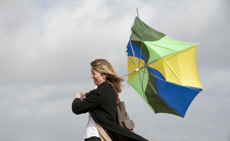 Wind warning in effect for multiple west-central Alberta counties