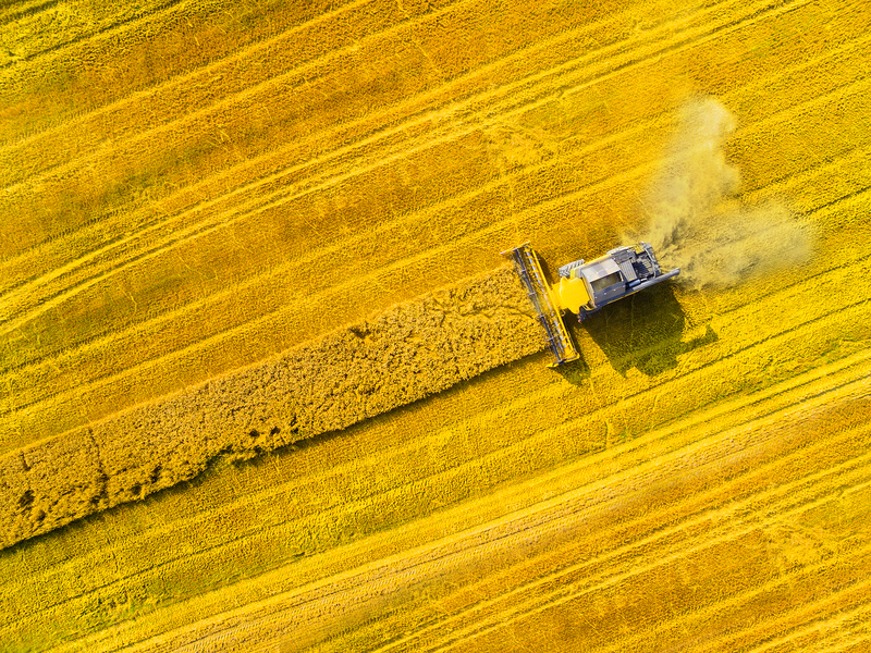 Alberta Crop Report: Sept. 29, 2026