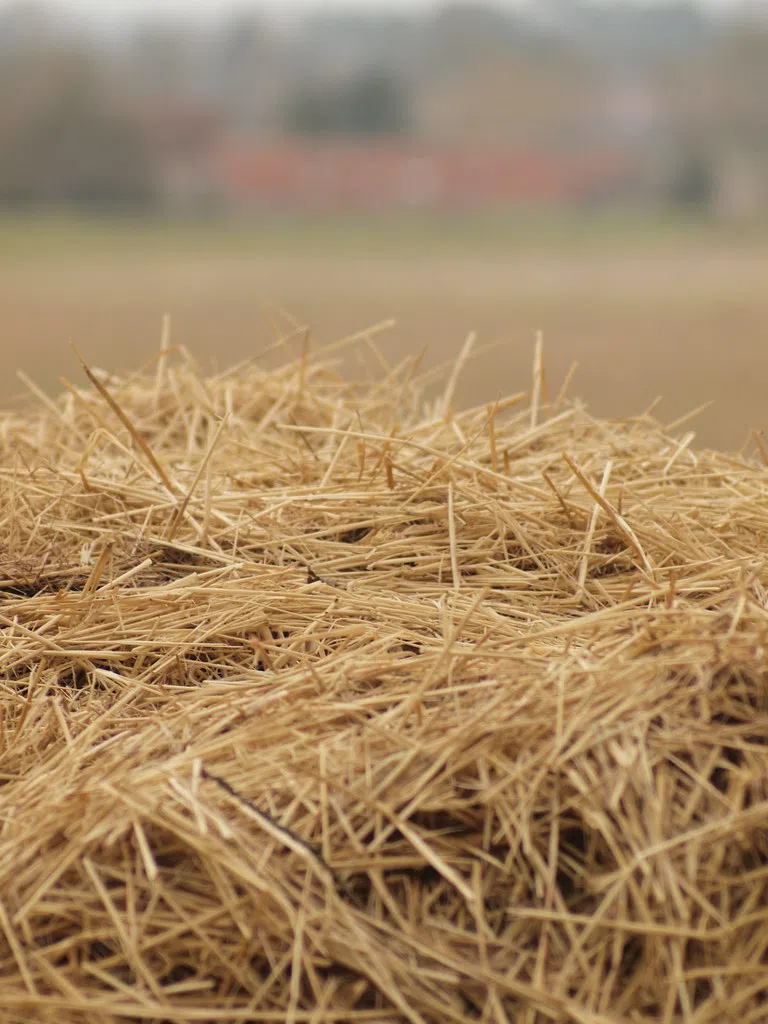 Say Goodbye To Soggy Straws & False Promises Of “eco” Plastic