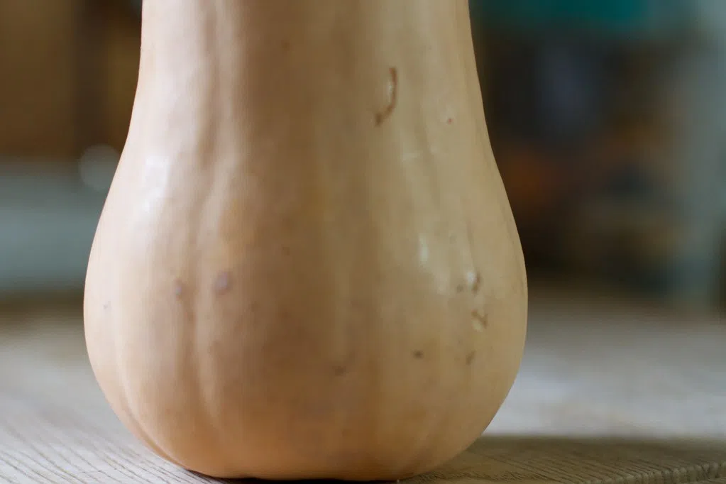 The Naked Truth: Why Julia Roberts Kept It Clothed On Screen