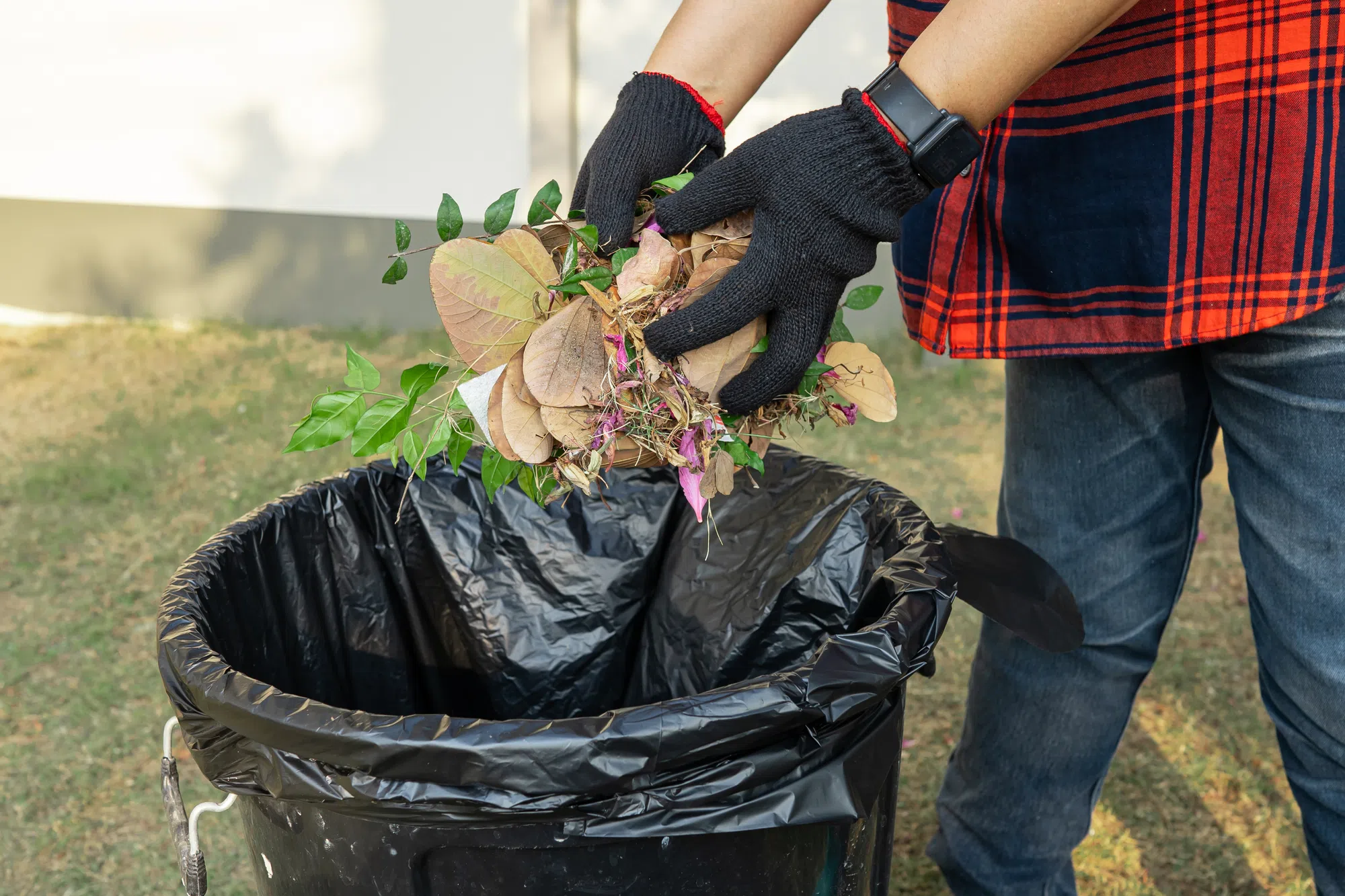 Prince Albert Yard Waste Collection: Tips and Dates