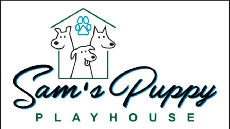 Sam's Puppy Playhouse: your paws are in good hands!