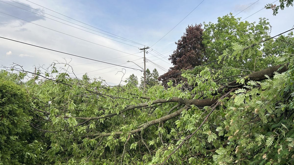 Clean up begins as power remains out for over a thousand homes outside of Renfrew - Vimarsana News