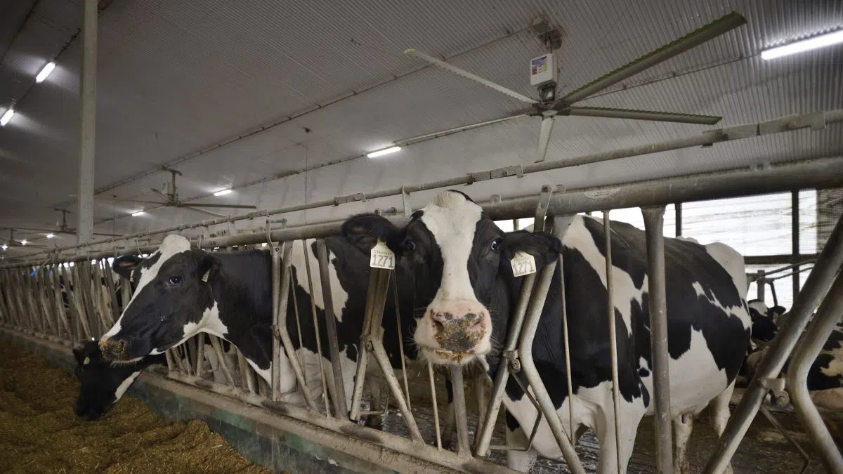 Ontario farmers get boost to sell goods globally