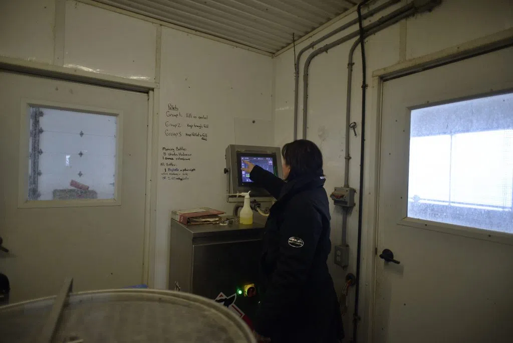 Field tends to the control panel connected to the feeding system for the calves; Lindmilk allocates roughly 600 litres of milk for calf feeding | Mik Horvath/MBC
