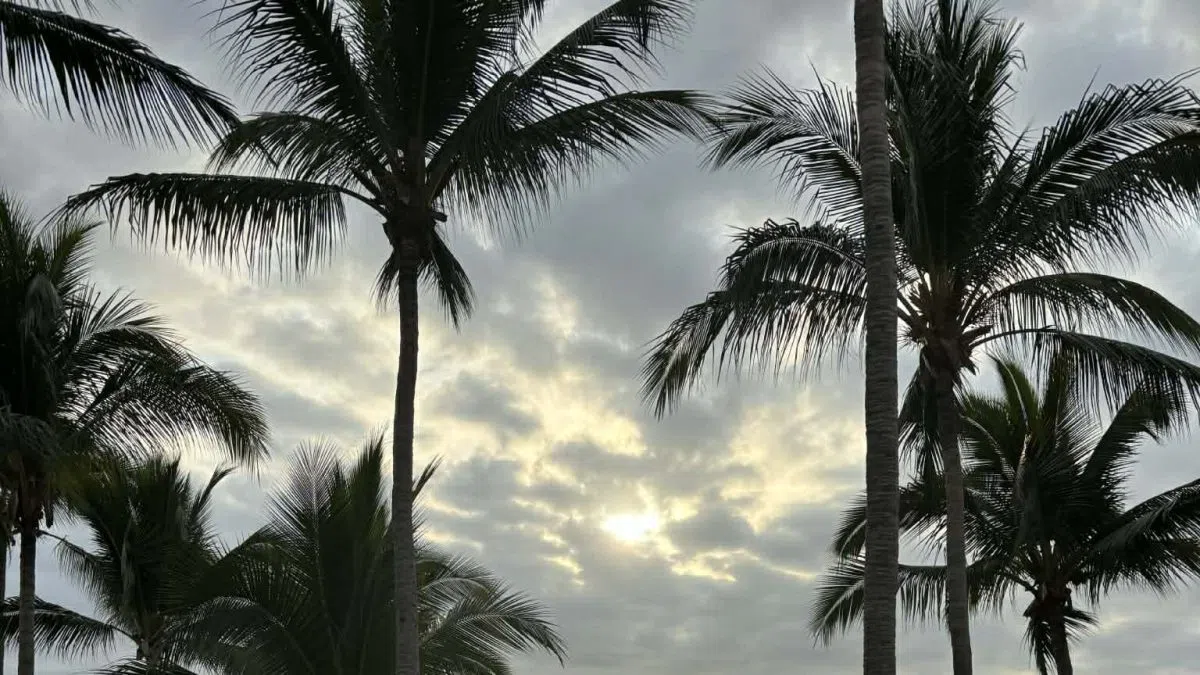 Canadians warned to avoid Puerto Vallarta as violence erupts and flights turn back