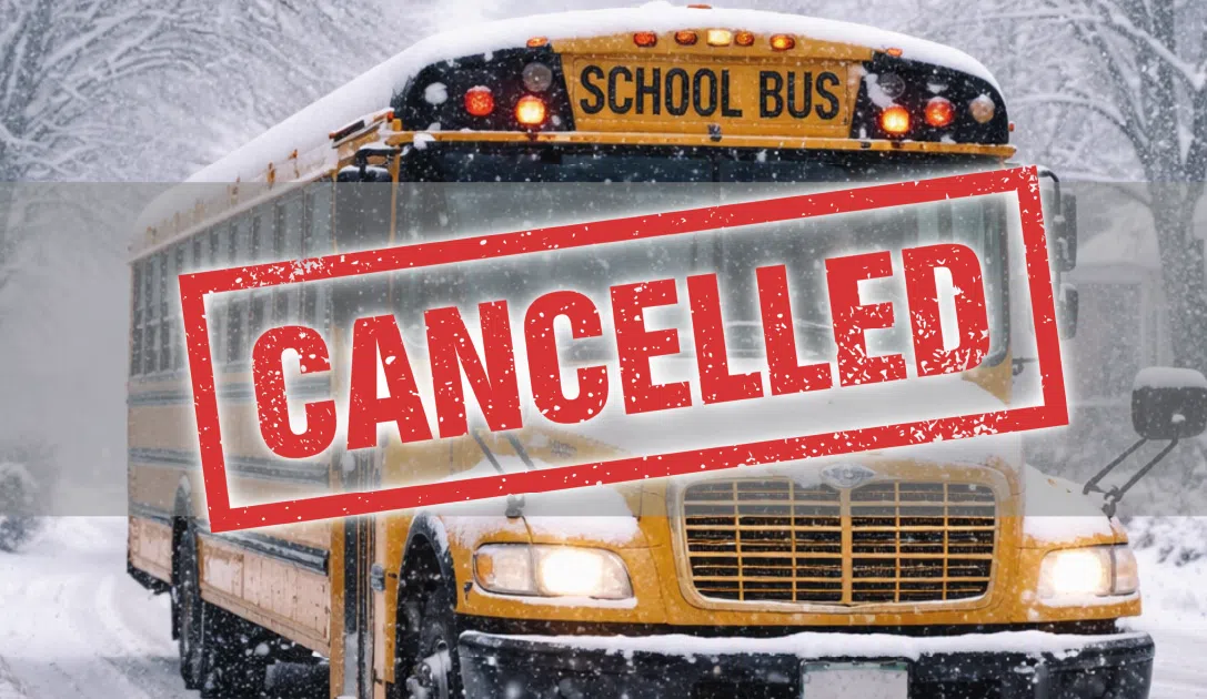 School buses cancelled as yet another winter wallop is in the forecast
