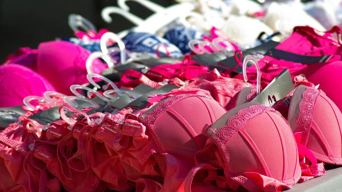 Ottawa Valley claims Canada’s sexiest town in annual Pink Cherry rankings