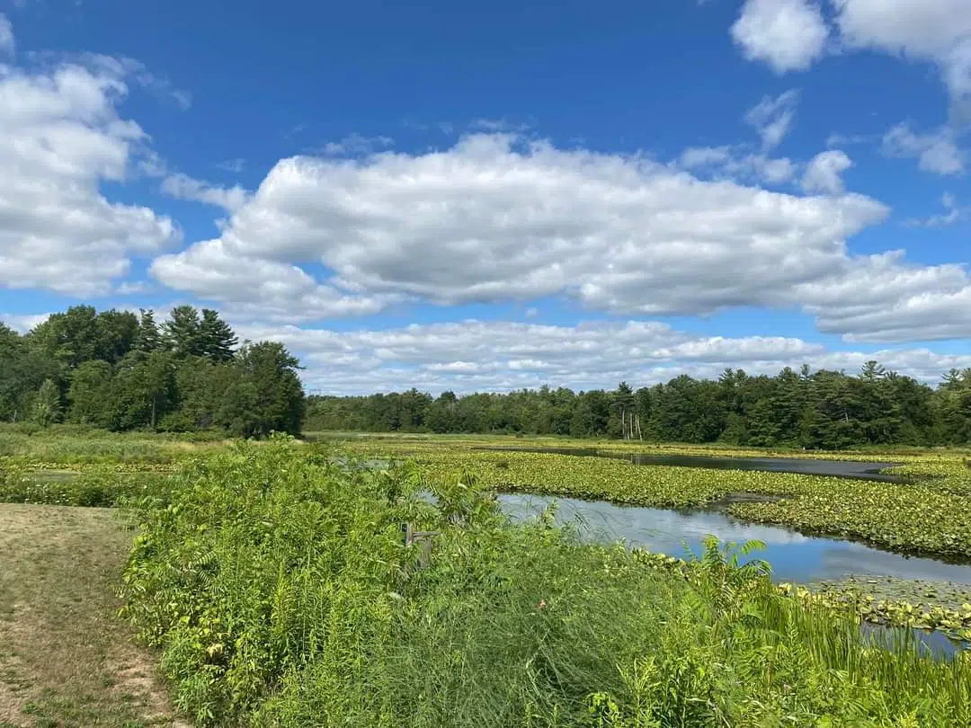 COMMUNITY SPOTLIGHT Wagner Memorial Teeterville Legion Branch 526