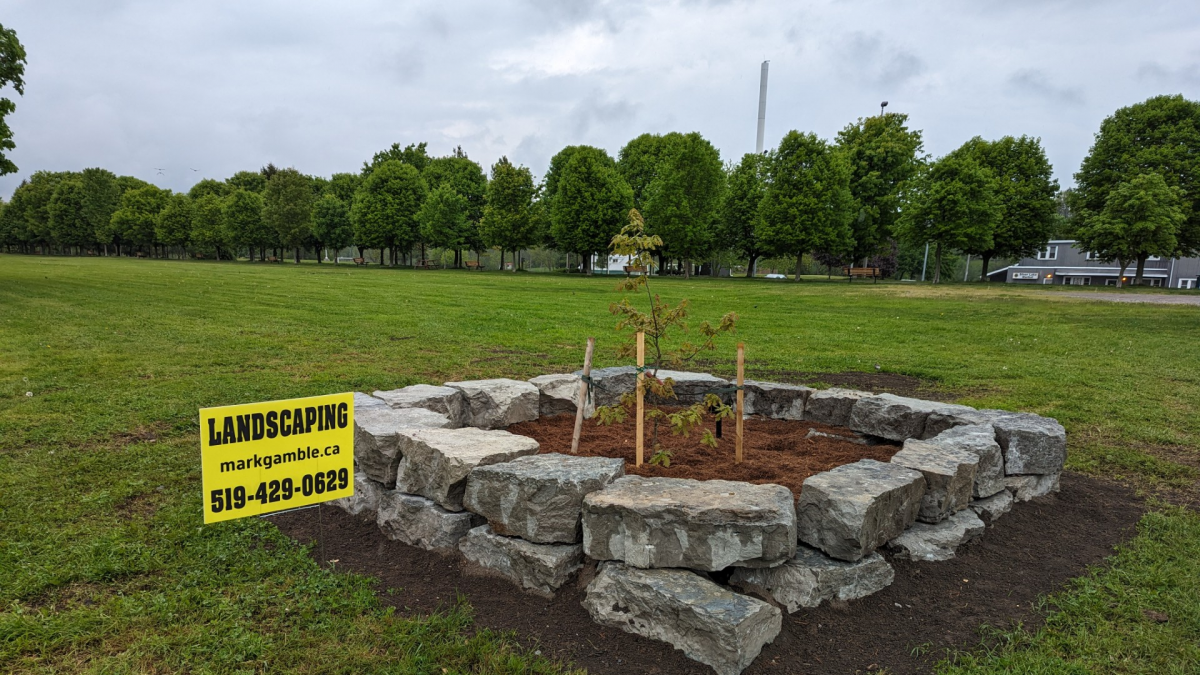 Finishing touches down around Vimy Oak tree at Silver Lake Park - Vimarsana News