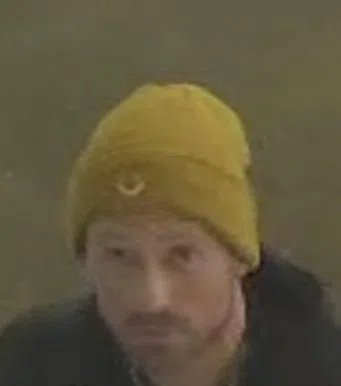 OPP seek suspect after credit card stolen from rural mailbox and used in Port Dover