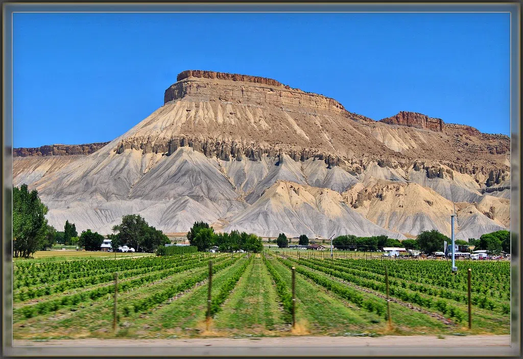 The Grand Valley is in the running for the Best Wine Region by USA Today's 10 Best! Vote Now