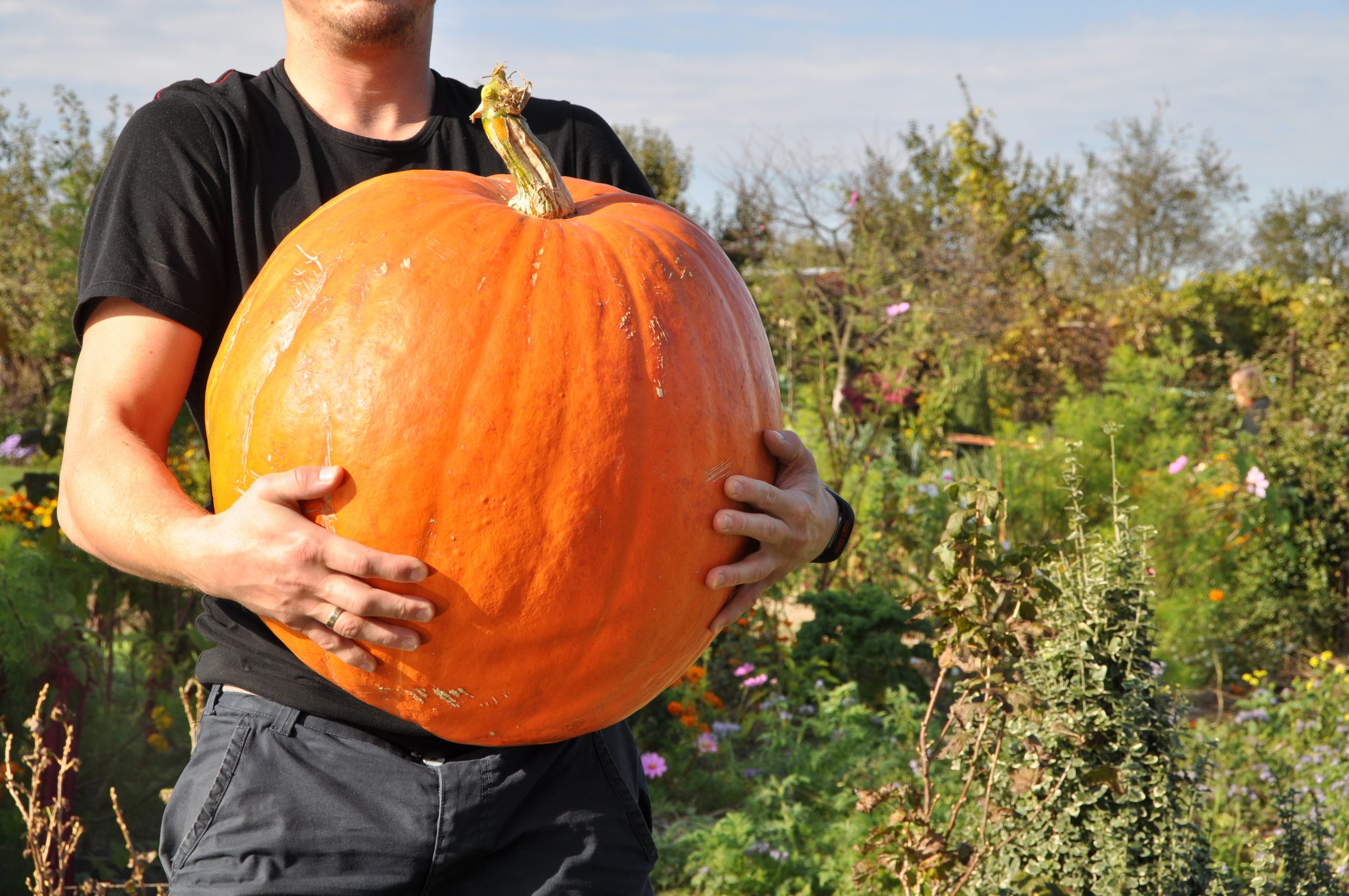 Oh my gourd!
