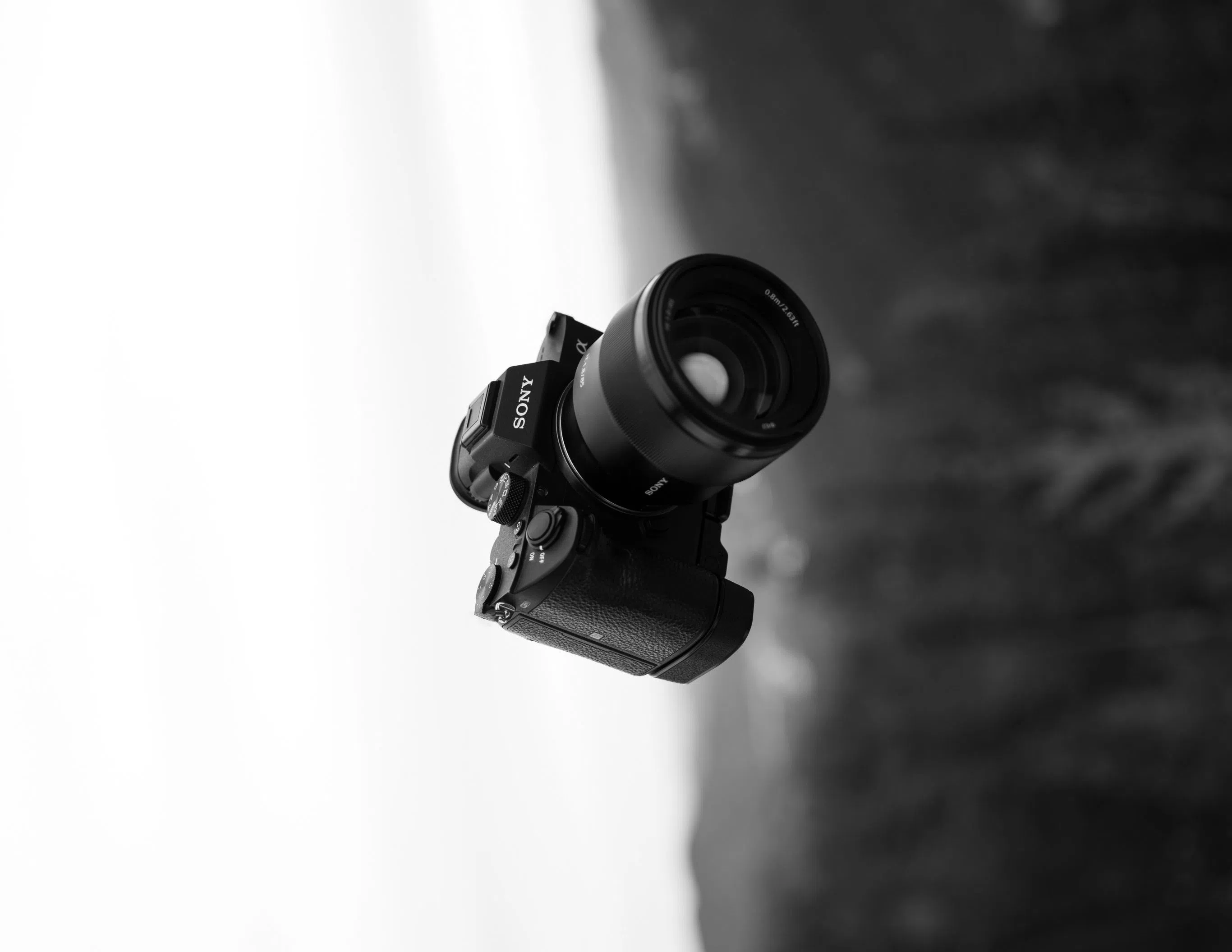 2023 Comedy Wildlife Photography Award Winners!