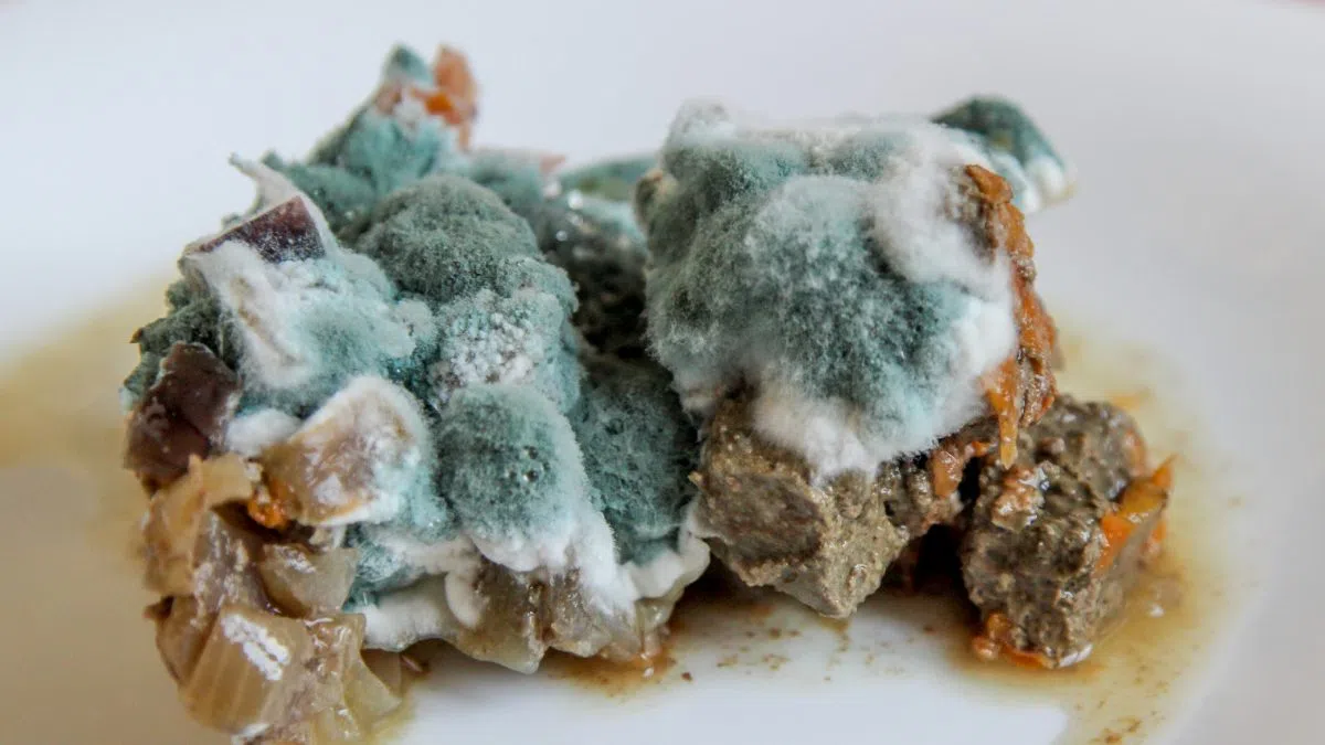 national-clean-out-your-fridge-day-saskatchewan-country-cjnb