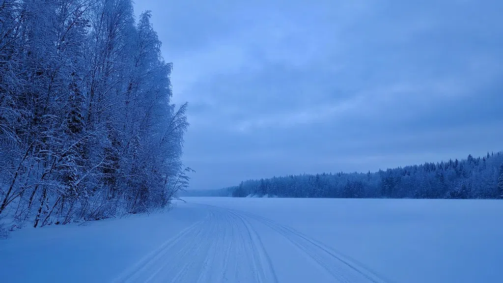 Extreme Cold Warnings Blanket Saskatchewan