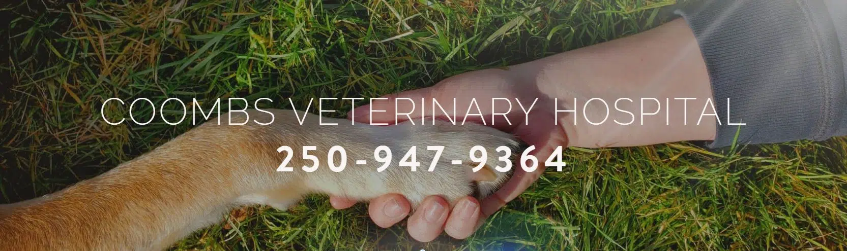 Coombs Veterinary Hospital