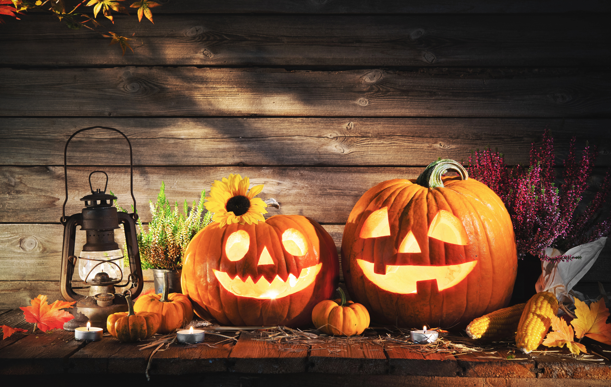 Halloween Activities in Oceanside!