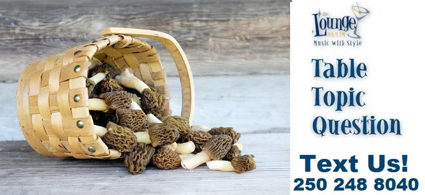 Table Topic Question: Tuesday October 28