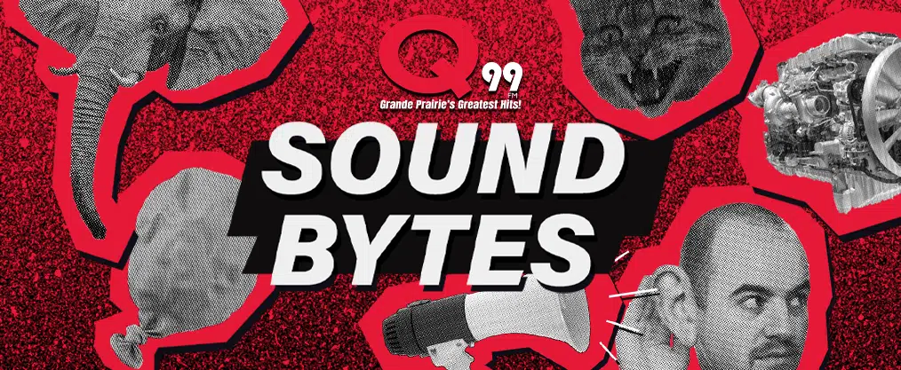 Q99 Father’s Day: Sound Bytes