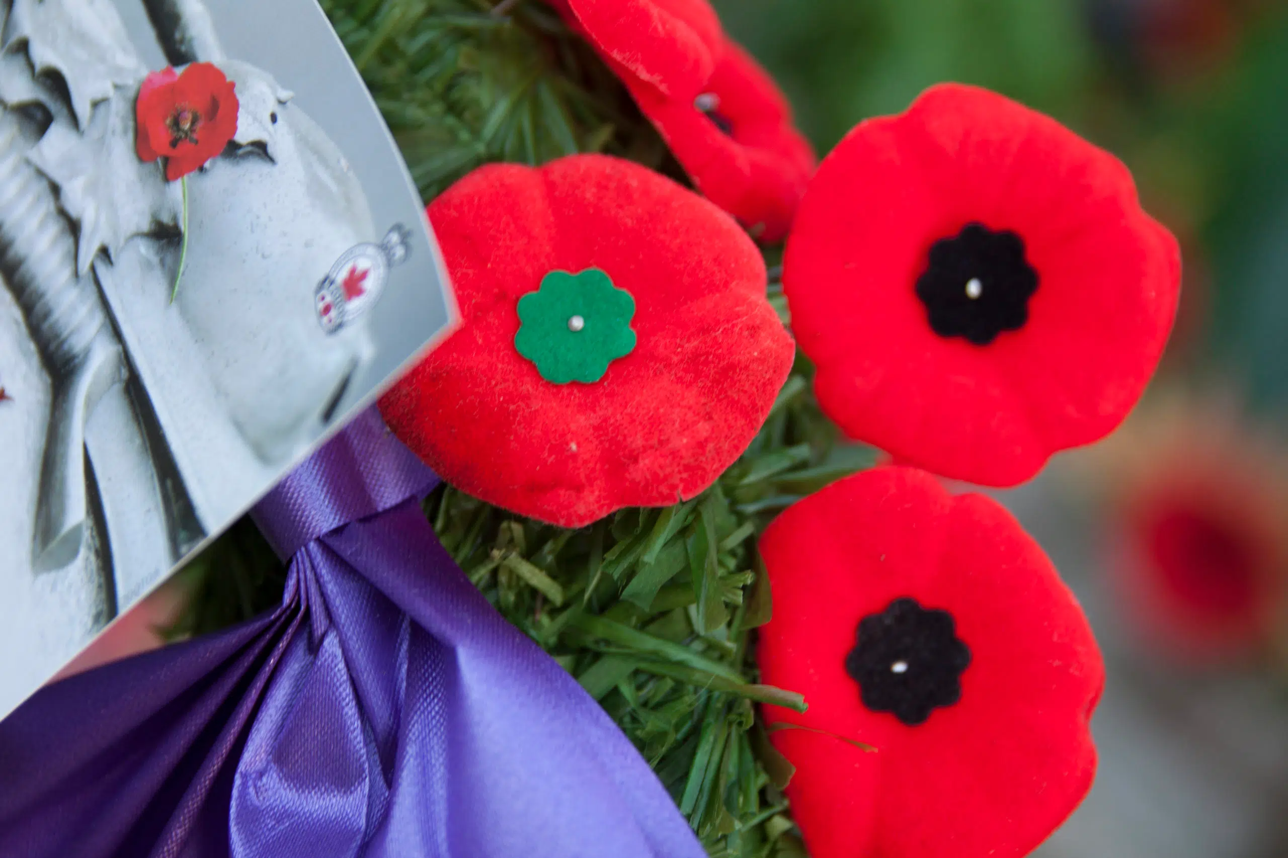 Lest We Forget – Remembrance Day Ceremony and Parade