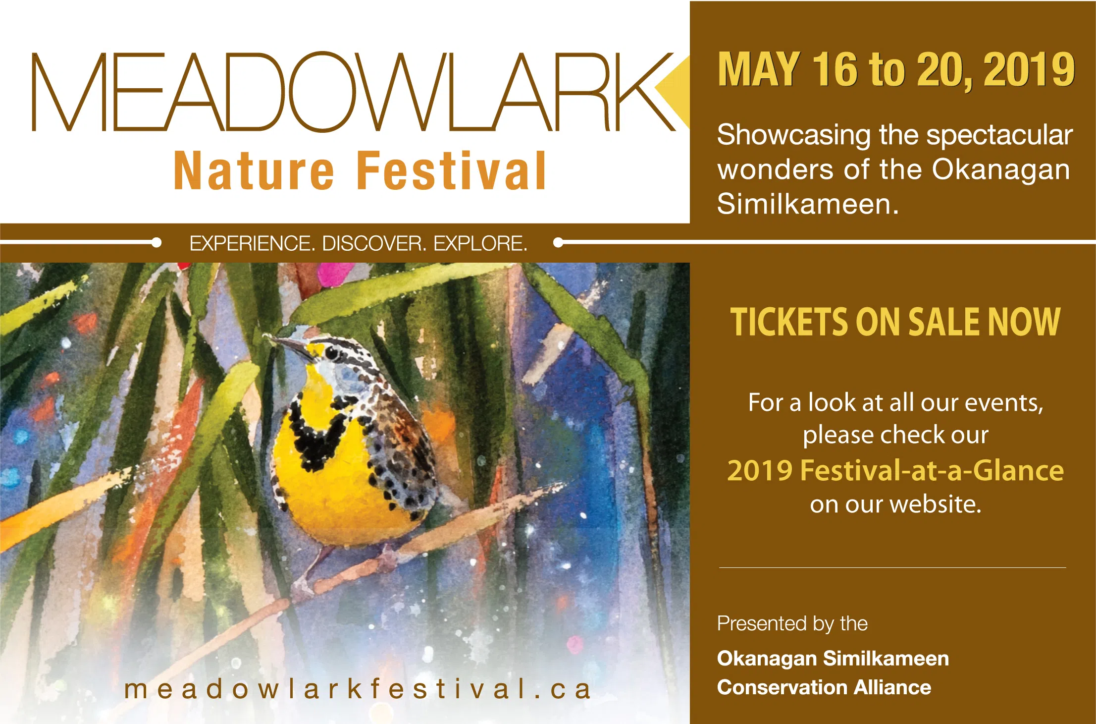 Meadowlark Nature Festival 104.3 The Breeze