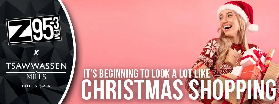 It’s beginning to look a lot like Christmas….SHOPPING!