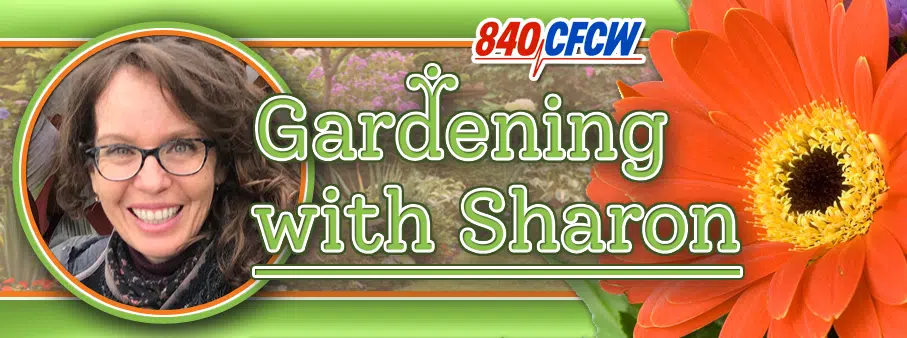 Gardening With Sharon