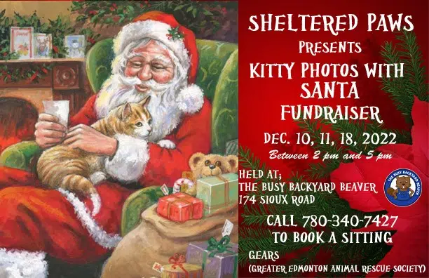 COMING SOON---KITTY PHOTOS WITH SANTA