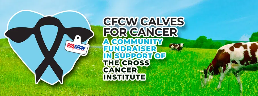 Calves for Cancer