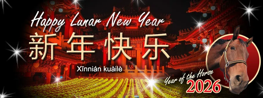 Feature: https://chinesenewyear.net/