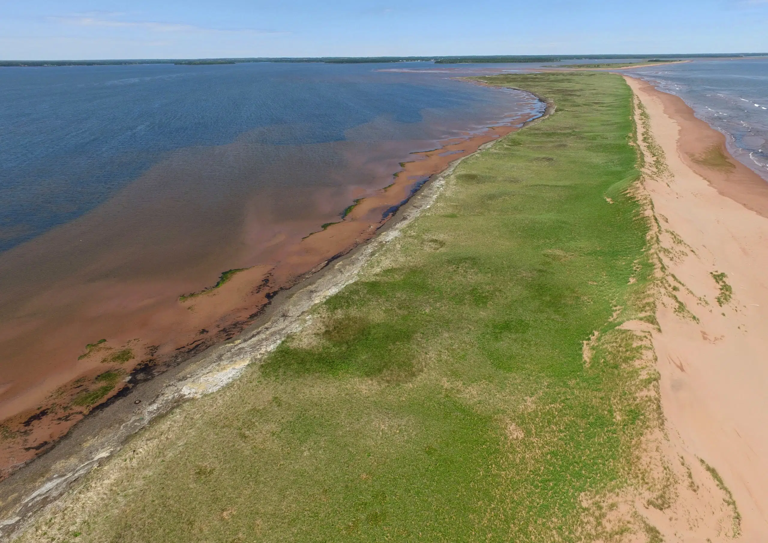 Nature Conservancy of Canada conserves a section of Cascumpec Sandhills