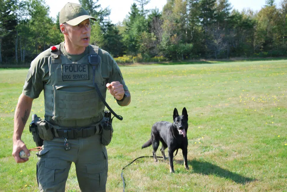 Jule is the newest RCMP dog in PEI