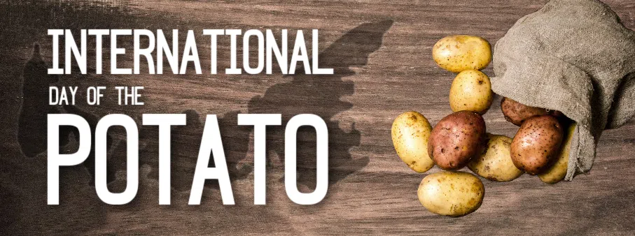 International Day of the Potatoe on Ocean 100