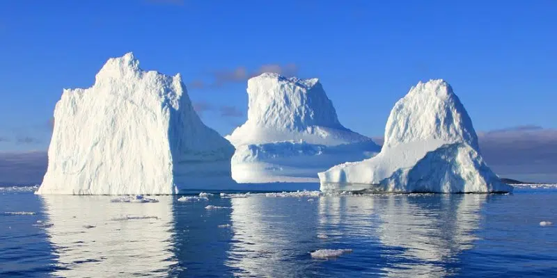 Plentiful Icebergs A Warning Sign Of Climate Change: McKenna
